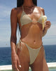 Immagine di Lentra Bikini Bottom a righe orizzontali giallo