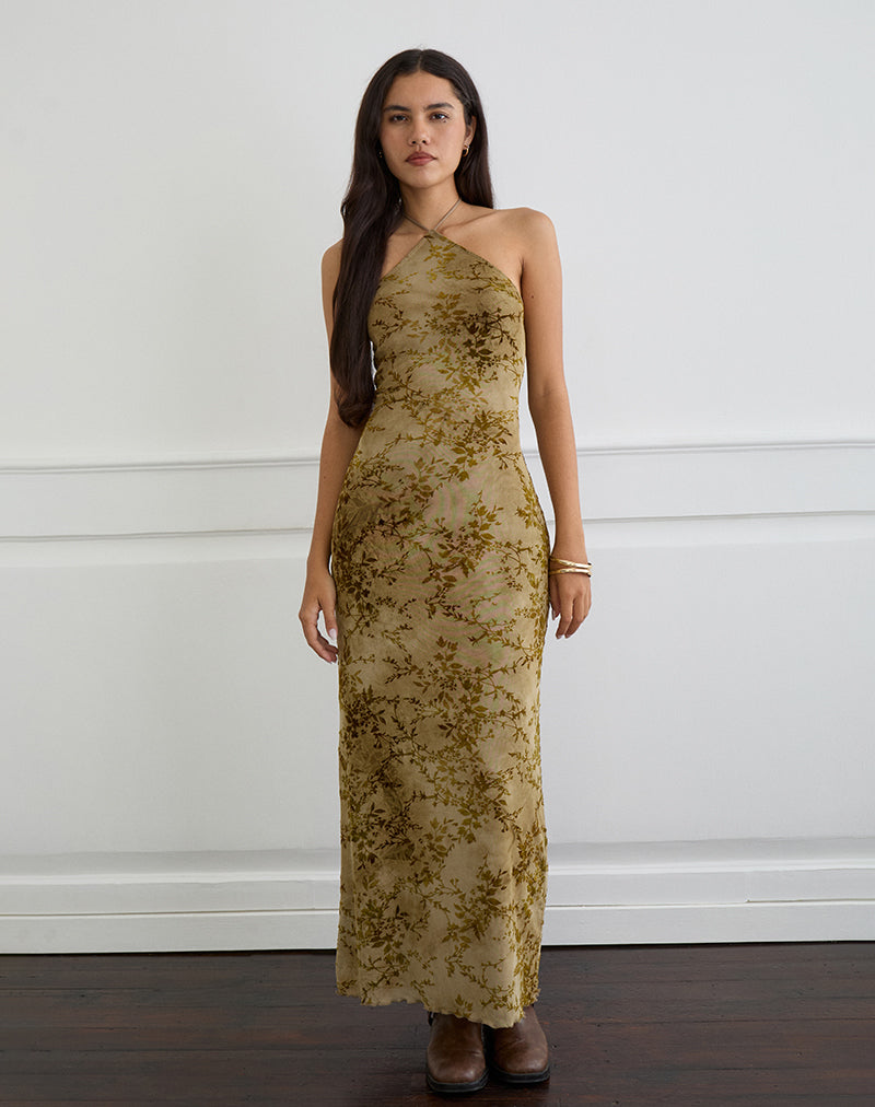 Immagine di Rabika Maxi Dress in velluto bruciato verde