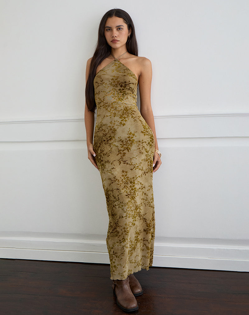 Immagine di Rabika Maxi Dress in velluto bruciato verde