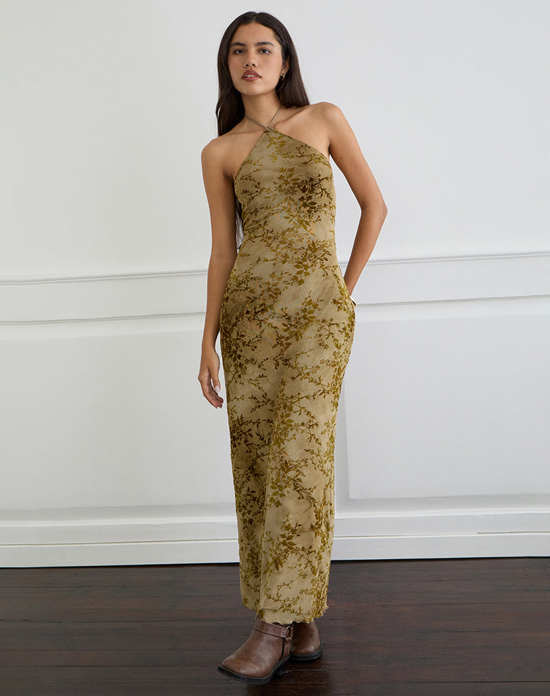 Immagine di Rabika Maxi Dress in velluto bruciato verde