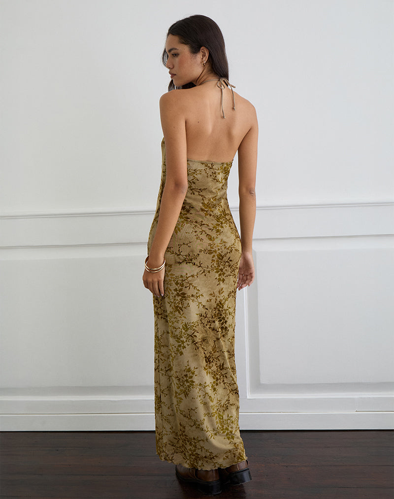 Immagine di Rabika Maxi Dress in velluto bruciato verde