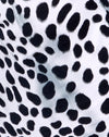Dalmata bianco e nero