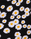 MiniDaisyNero