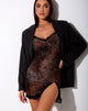 Immagine di Coti Bodycon Dress in marrone ghepardo sfumato con pizzo