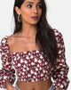 Immagine di Elina Crop Top in Wild Fleur Maroon