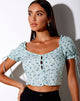 Immagine di Flaba Top in verde petalo