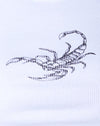 Scorpione bianco
