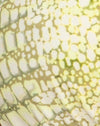 Verde coccodrillo