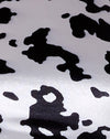 Dalmata bianco e nero
