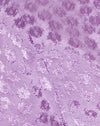 Satin Ditsy Rose Lavanda