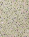 Viola di Parma