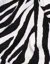 Zebra enorme