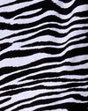 Zebra classica