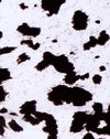 MiniCow Bianco e Nero