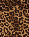 Leopardo notturno marrone