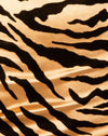 Oro tigrato