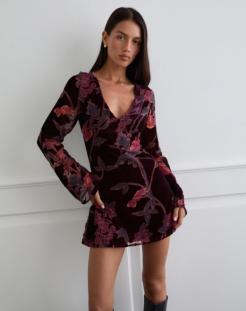 Immagini di Alitra Mini Dress in Floral Devore Burgundy