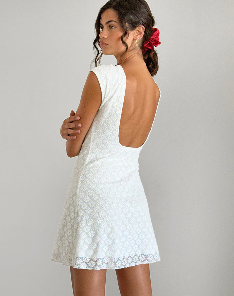 immagine di Ambu Mini Dress in pizzo floreale avorio