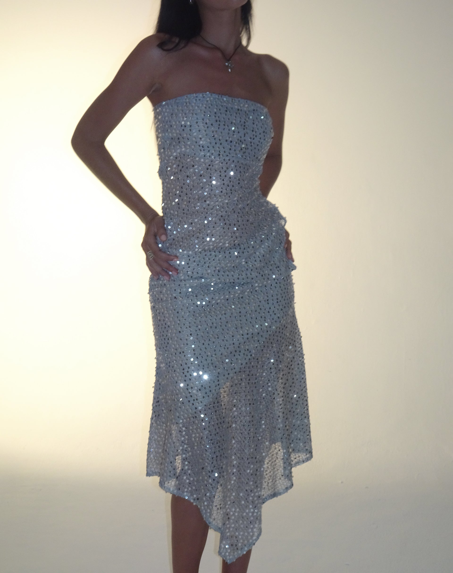 immagine di Carita Midi Skirt in maglia di paillettes argento