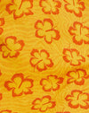 Ibisco Zebra Arancione