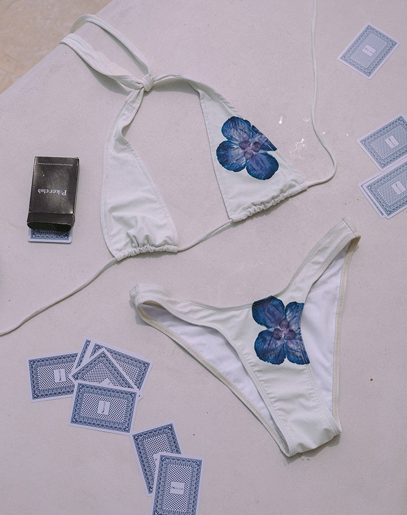 Immagine di Cerry Bikini Top in Avorio con Orchidea Blu