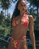 Immagine di Farida Bikini Bottom in Sketchy Hibiscus Burgundy