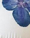 Avorio con orchidea blu