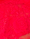 Rosa grande rossa