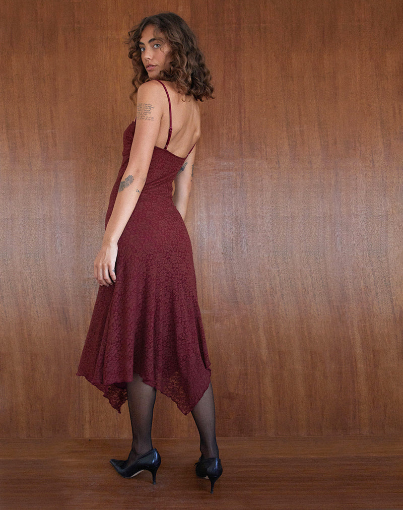 Immagine di Drusilla Midi Dress in pizzo rosa Borgogna