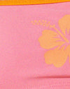  Rosa Terry Ibisco