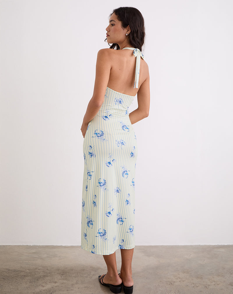 Immagine di Fadwa Midi Dress in crema a righe floreali