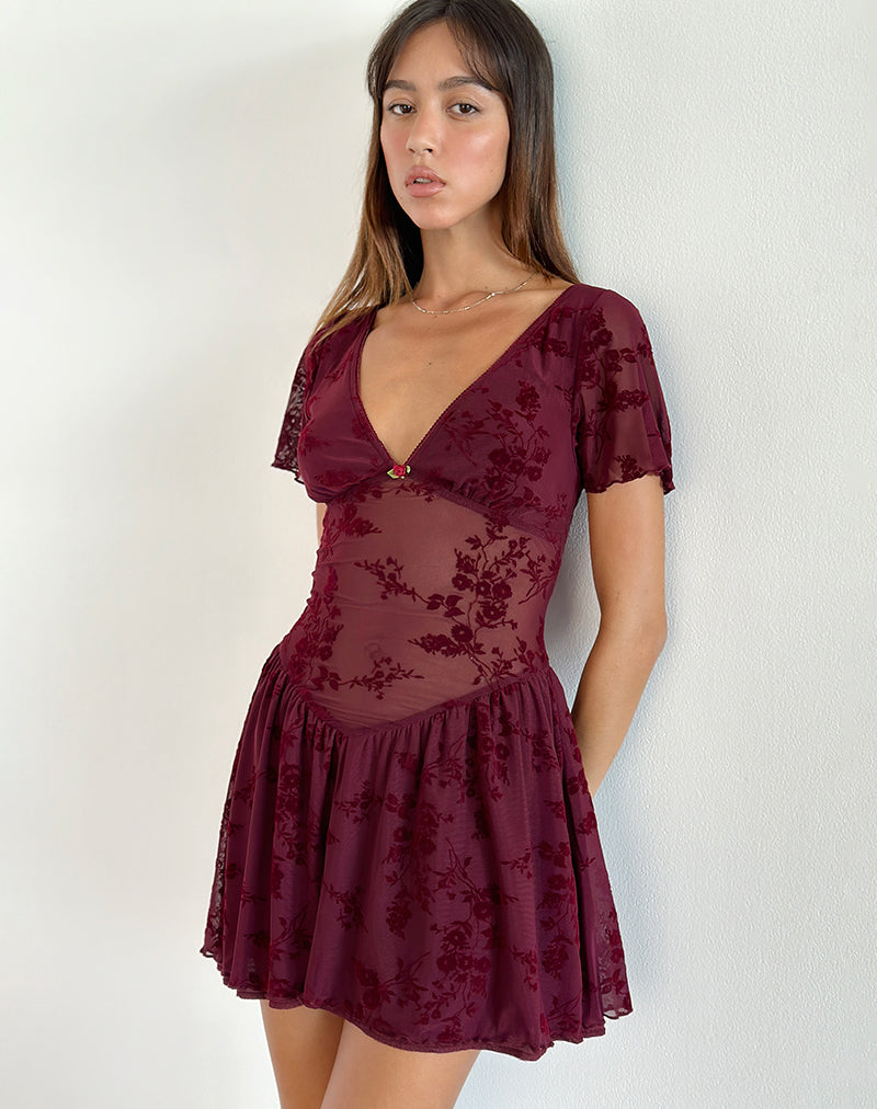 Immagine di Geni Mini Dress in Botanical Flower Maroon