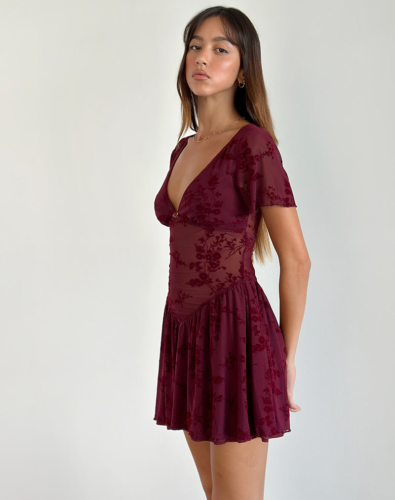 Immagine di Geni Mini Dress in Botanical Flower Maroon