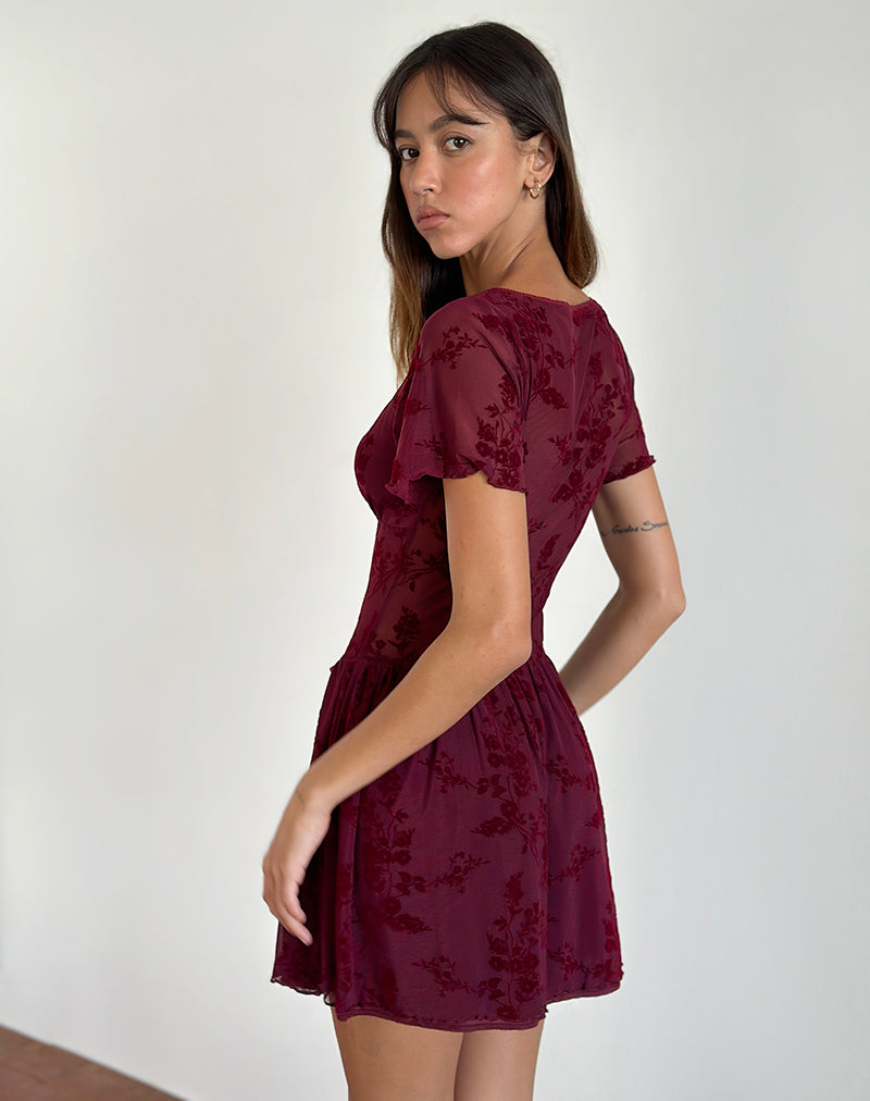Immagine di Geni Mini Dress in Botanical Flower Maroon