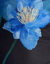 Nero con fiore blu acquerellato