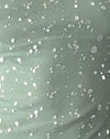 Menta con lamina d'argento