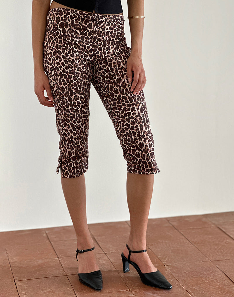 Spingitori Japri in Rar Leopard Sandstorm