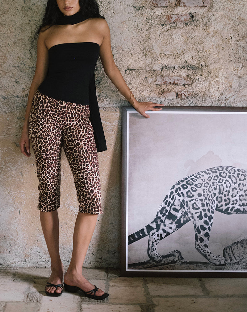 immagine degli Spingitori Japri in Rar Leopard Sandstorm