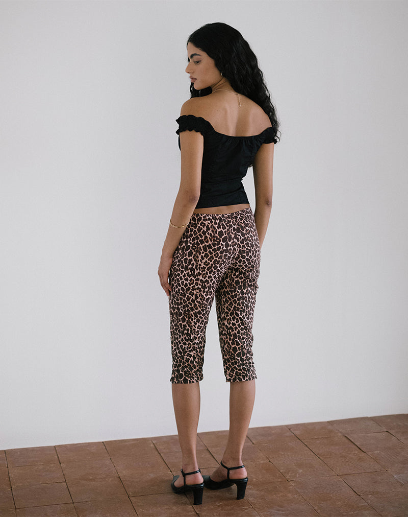 immagine degli Spingitori Japri in Rar Leopard Sandstorm