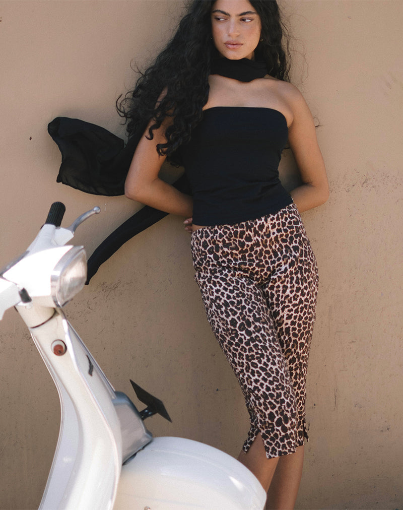 Spingitori Japri in Rar Leopard Sandstorm