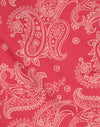 Rosa paisley retrò