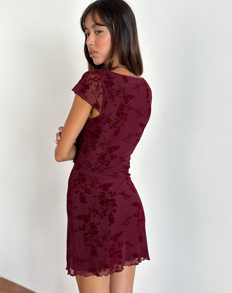 Immagine di Lashka Mini Dress in Botanical Flower Maroon