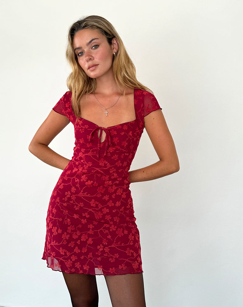 Mini abito Lashka in floccato floreale rosso grunge