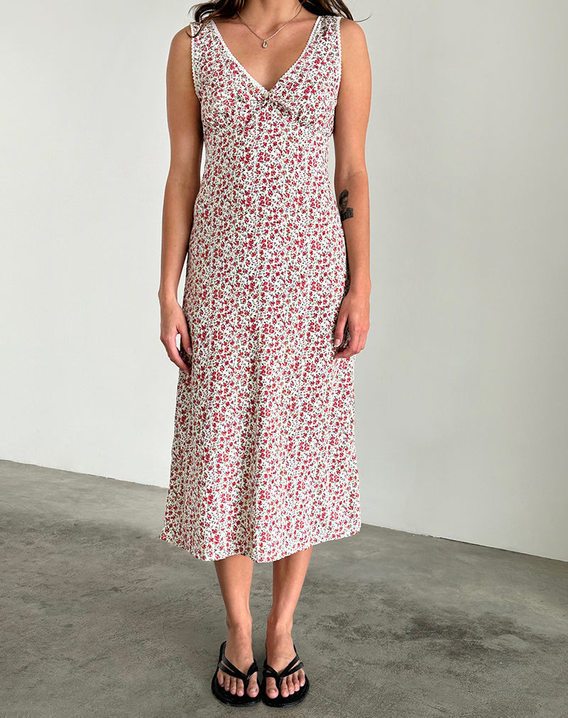 Immagine di Lavisha Midi Dress in Pretty Ditsy