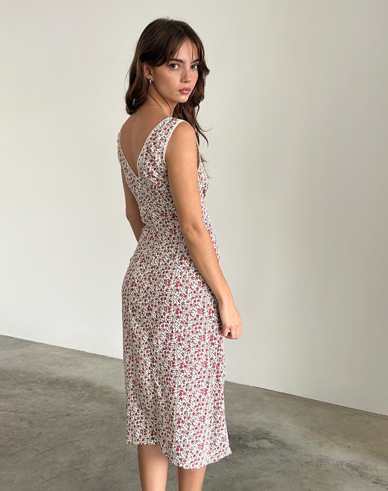 Immagine di Lavisha Midi Dress in Pretty Ditsy
