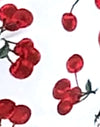Ciliegie