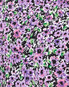 Fiore di lillà