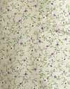 Viola di Parma