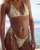Immagine di Lentra Bikini Bottom in Cluster Yellow Rose con volant