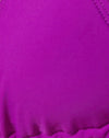  Viola